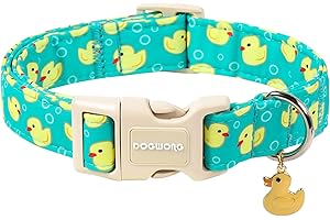 Z: Duck