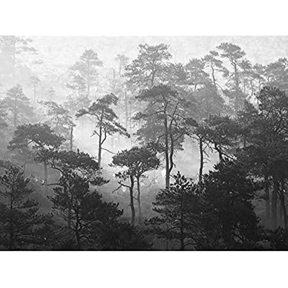 Oja Lindi Nature Reserve Estonia Forest Trees Photo Art Print Canvas Premium Wall Decor Poster Mural
