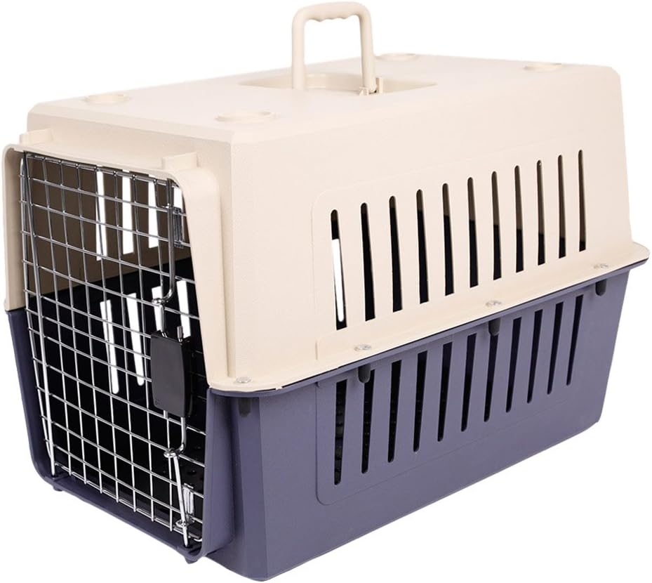 teacup yorkie for adoption