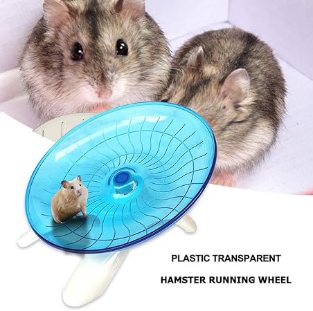 hamster running on wheel funny