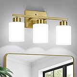 FonmYim Brushed Gold Bathroom Light
