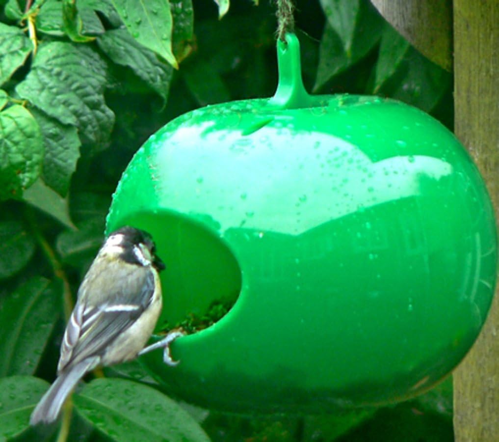 Apple Bird Feeder Amazon Co Uk Pet Supplies