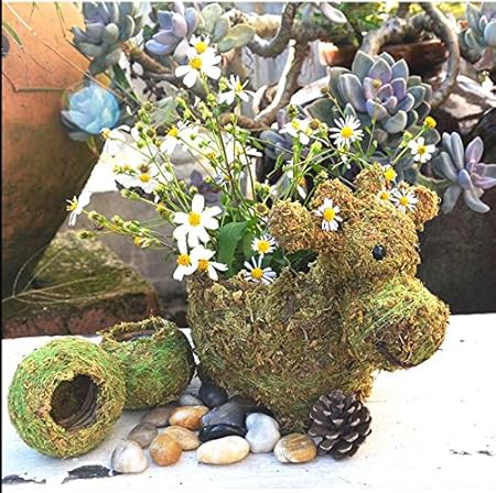 Amazon Com Dowonsol Handmade Cow Shape Moss Pot For Garden Decor