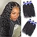 Water Wave Human Hair 3 Bundles 12 14 16 Inch 100% Unprocessed Human Hair Extensions For Women 100g/bundles 8A Brazilian Wet and Wavy Water Curly Human Hair Bundles Natural Black Color shuangya Hair