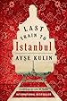 Last Train to Istanbul: A Novel