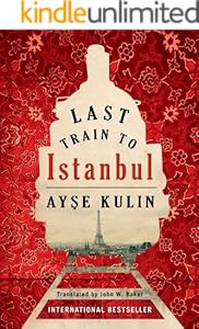 Last Train to Istanbul: A Novel