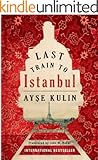 Last Train to Istanbul: A Novel
