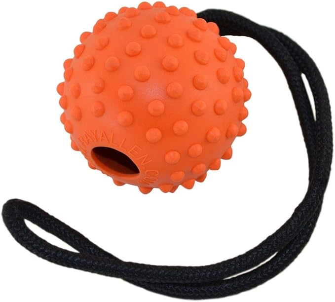 ray allen dog training