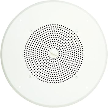 bogen ceiling speakers