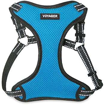 Best Pet Supplies Voyager Step-in Flex Dog Harness - All Weather Mesh, Step in Adjustable Harness for Small and Medium Dogs Turquoise, Medium