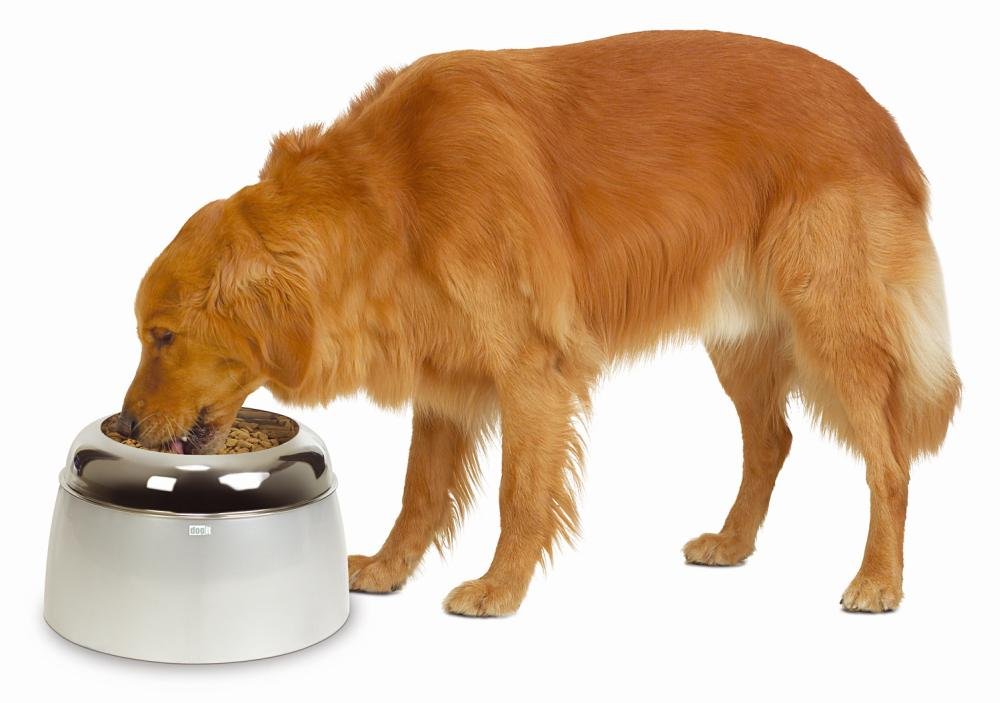Dogit Elevated Food Bowl for Large Dogs