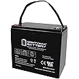Mighty Max Battery ML55-12INT -12 Volt 55 AH, Internal Thread (INT) Terminal, Rechargeable SLA AGM Battery