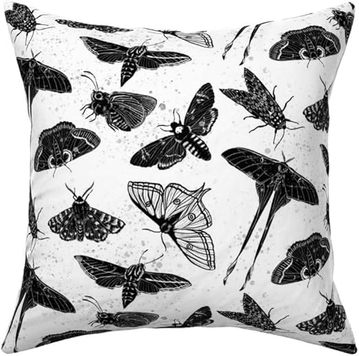 Pictures Of Black And White Moths