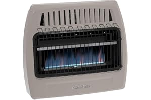 World MKTG of America/Import KWD378 30000 BTU Dual Gas Wall Heater