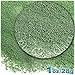 The Crafts Outlet 1-oz/28-g Opaque Finish, Glass, Microbeads 0.6mm, Ideal for Caviar Nails, Opaque Pearl