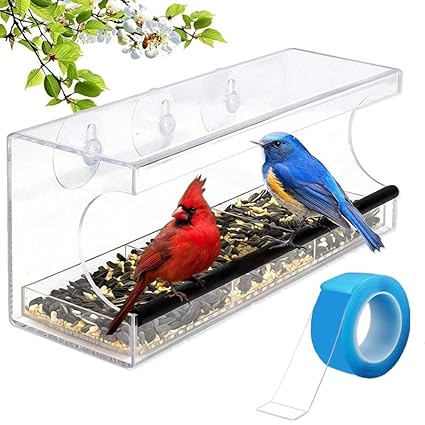 Amazon Com Naturing Zero Window Bird Feeder With Strong Suction