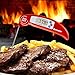 Meat Thermometer, Barbestar Folding Digital Instant Read Food Probe Thermometer with Battery for Grill and Cooking ( includes Internal Meat Temperature Guide, Gift Box)