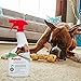 Rug Doctor Platinum Urine Eliminator Spray, Permanently Removes New and Old Pet Stains, Neutralizes Odors with Sparkling Breeze Scent, 24 oz.