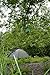 CampSource Base Odor-Barrier Bags, X-Large