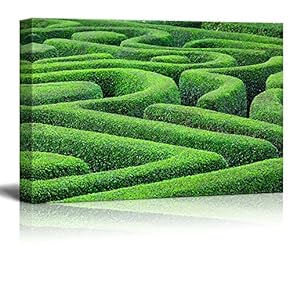 Beautiful Scenery of Green Plant Maze Wall Decor