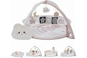 Aila+Aiden 6-in-1 XL Play Mat & Play Gym, Baby Gym, Baby Activity Gym, Sensory Exploration and Motor Skill Development Toys (Blush)