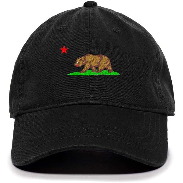 AMERICAN NEEDLE Cali California Bear Patch Unisex Zambia