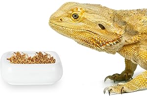 LEETOYI Reptile Food Bowls Ceramic Square Reptile Water Food Dish, Pet Food Bowl for Lizards, Young Bearded Dragons, Gecko Tortoise Spider, Small Snakes (White, Small 1-Pack)