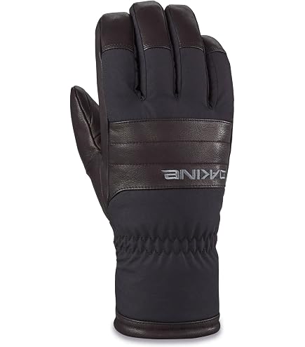 Amazon.com : Dakine Team Phoenix Gore-Tex Glove - Sammy Carlson