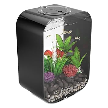 Aquarium 15l
