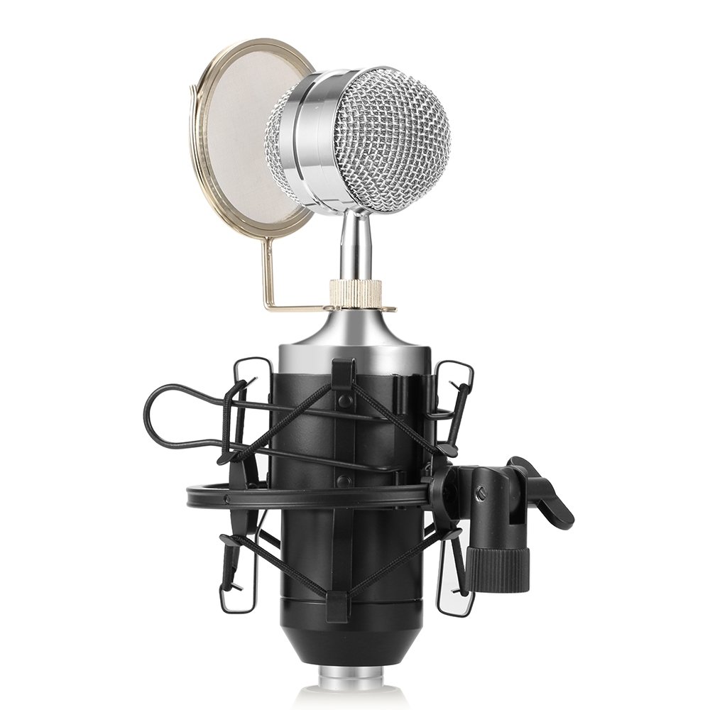 Professional Condenser Studio Recording Broadcasting Microphone,Home