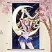 A Wide Variety of Bishoujo Senshi Sailor Moon Anime Characters Wall Scroll Hanging Decor (Tsukino Usagi 6)