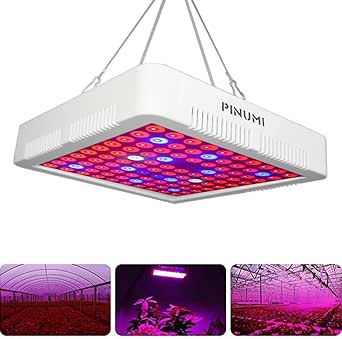 LED Cultivo Lámpara de Plantas 600W Full Spectrum LED Planta Crece la