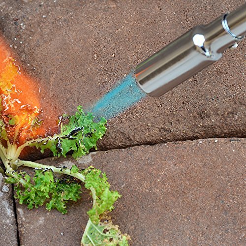2 Updated+All+Season+Propane+Starting+chemicals
