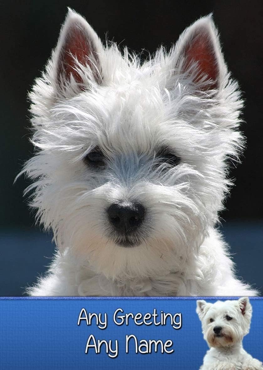 personalised westie gifts