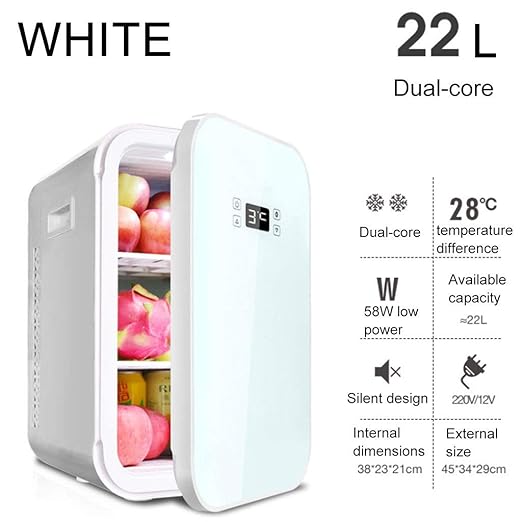 WERT 22L Mini Refrigerador Y Calentador Portátil De Coche Nevera ...
