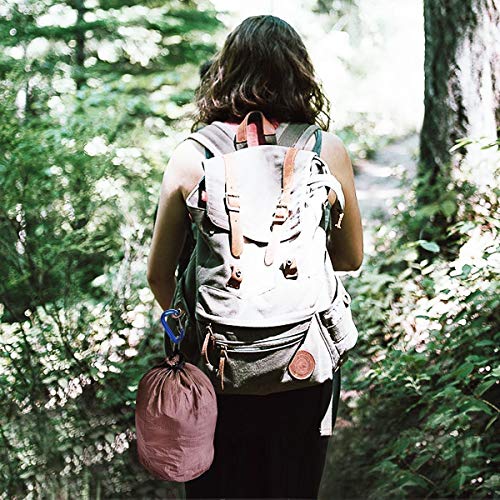 L-Rover The Best Ultra Sturdy Locking Carabiner Clips, Heavy Duty Caribeaners, x3/12kN/2645-pound Rating for Hammocks, Swing,Locking Dog Leash and Harness, Camping, Key Chains,Hiking & Utility