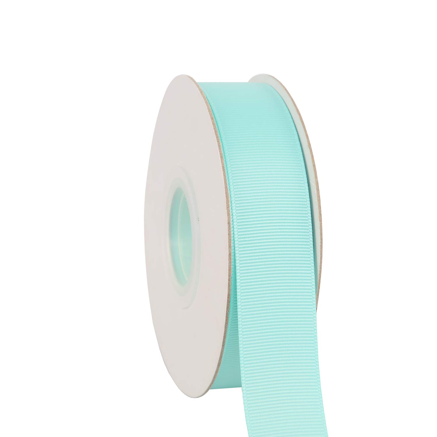 Ribbonitlux 25mm Wide Solid Grosgrain Ribbon 22 Meters (314-Aqua, Set for Gift Wrapping, Party Decor, Sewing Applications, Wedding and Craft