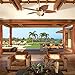 Honeywell Ceiling Fans Royal Palm, 52 Inch Tropical LED Ceiling Fan with Light, Pull Chain, Three Mounting Options, Hand Carved Solid Wood Blades - 50500-01 (Aged Brass)