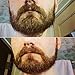 Bear's Beard Care Shaping Tool, All In One Shaper For Men, Styling Template Comb, Perfect For Straight Symmetric Cut, Goatee And Neck Line