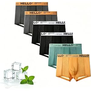 YE XInin Mens Mesh Ice Silk Underwear Boxer Briefs 6-Pack Ultra Cool | Breathable Sort Quick-Dry Moisture Wicking No-Ride-Up