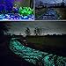 Ohuhu 100 PCS Colorful Glowing Garden Pebbles, Glow in The Dark Decorative Stones for Walkways & Decor, Solar Power Luminous Stones Glowing Rocks for Plants Pot, Fish Tank etc