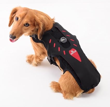Corset Et Déambulateur Pour Chien Extra Médical Appuie