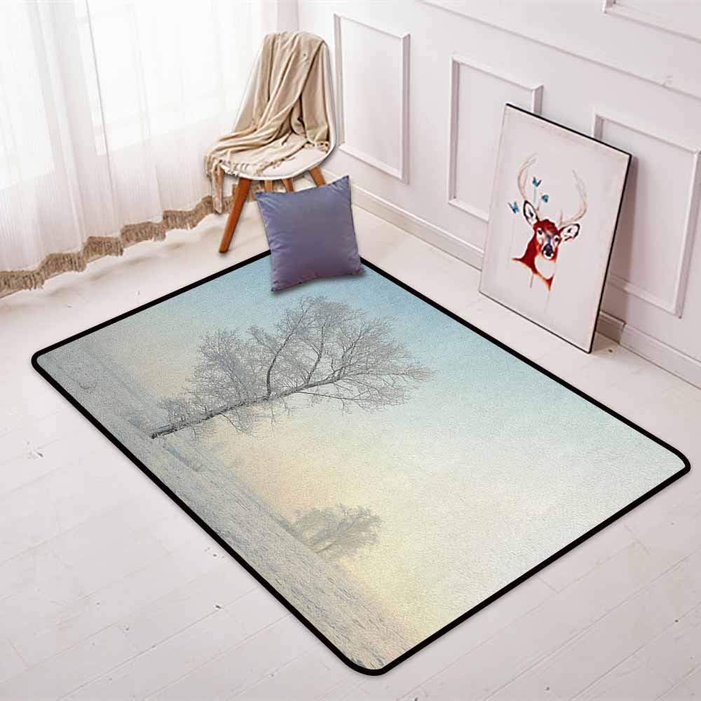 BottleTip Winter Children's Bedroom Carpet Frozen Tree on Sunny Winter Morning Rising Sun Landscape Deserted Land Soft Fluffy W35.4 x L47.2 Inch Pale Blue Cream White