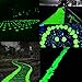 Boomile 100 pcs Glow in the Dark Garden Pebbles for Walkways and Decor, Glow Stones Rocks Decorative Luminous Pebbles for Outdoor Garden Pathway Walkway Fish Tank Aquarium Ornaments in Green