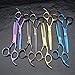 Passion Stainless Steel Professional Hair Cutting Scissors Precision 2-piece Barber Shears Thinning Set 6.0inch