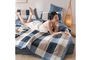 SYT-MD Comforter Quilts Coverlets Bedspreads Twin/Full/Queen/King/California King Size Bedspread Soft and Comfortable (Color : Q, Size : 100x150cm)