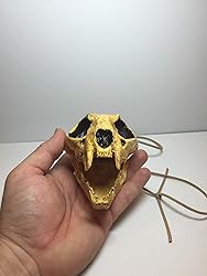 Aztec Death Whistle - Apex Predator