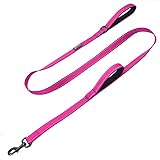 Max and Neo Double Handle Traffic Dog Leash