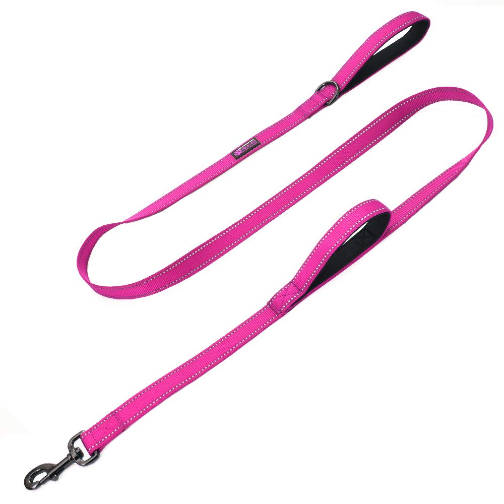 Max and Neo Double Handle Traffic Dog Leash - 4 FT, Pink