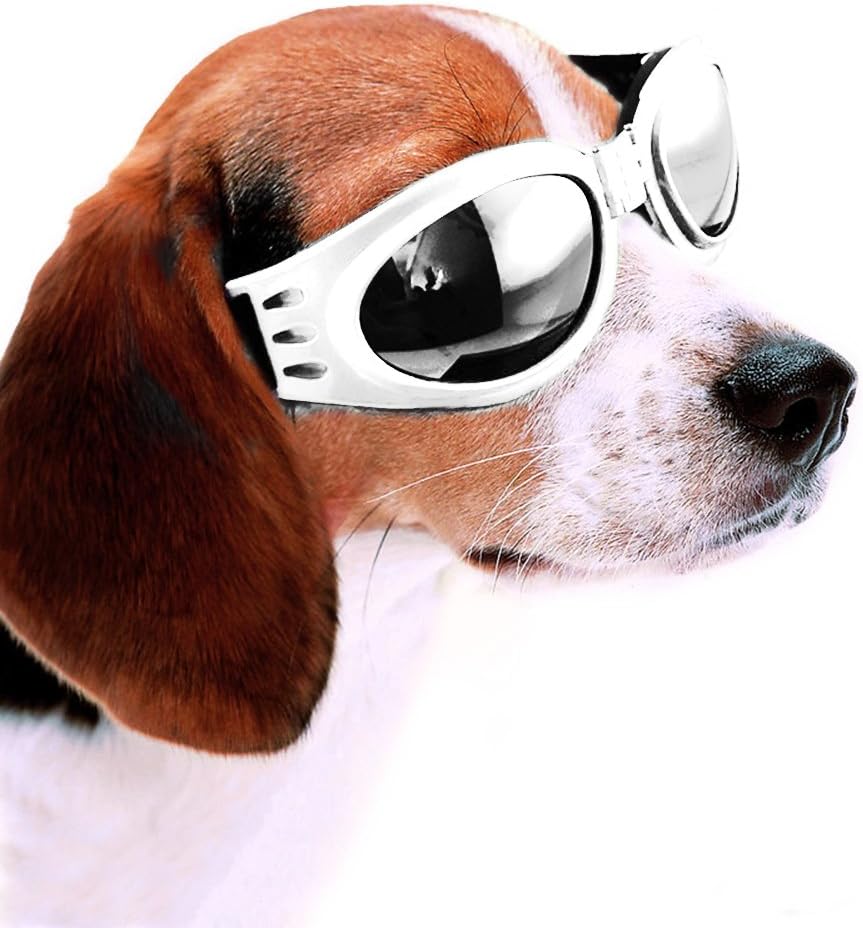 Lesypet Dog UV Protection Goggles Sunglasses waterproof Sun Glasses,Medium White